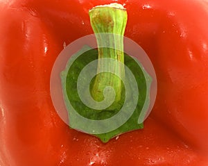 Red Pepper extreme closeup