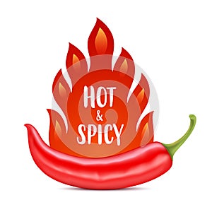 Red pepper with fire flames and HOT and SPICY text