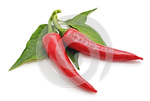 Red pepper with green leaf