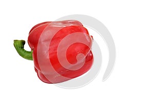 A red pepper with a green stem on a white background