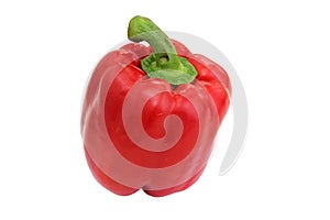 A red pepper with a green stem on a white background