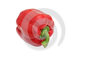 A red pepper with a green stem on a white background