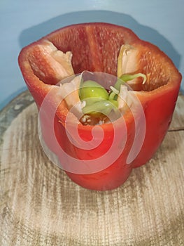 Red pepper that inside there are green peppers next to the seeds. Leaning on a wooden trunk of a tree. White background.