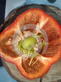 Red pepper that inside there are green peppers next to the seeds. Leaning on a wooden trunk of a tree. White background.