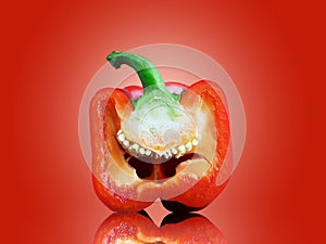 Red pepper isolated on a red background