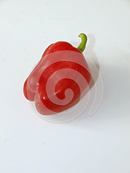Red pepper on white background