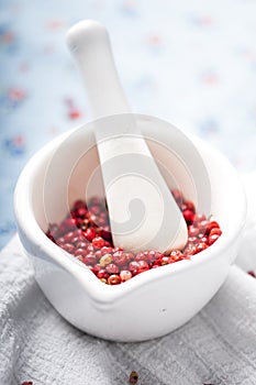 Red pepper in a mojar