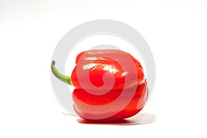 Red pepper over white background