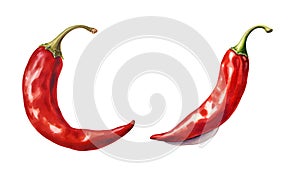 Red pepper, watercolor clipart illustration with isolated background