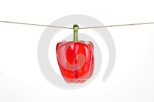 Red pepper on white background