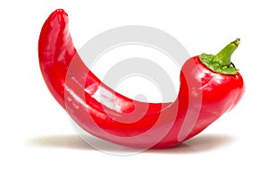 Red pepper on a white background