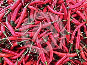 Red peppers background texture of hot chili seasoning fiery a dish of for sale