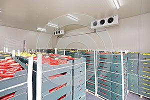 Red Peppers Cold Storage