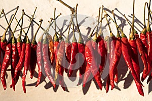 Red peppers hanging to dry in sunshine outside a house