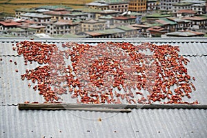 red peppers on a roof in paro (bhutan)
