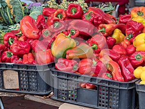 Red peppers on sale on stand at farmer`s market