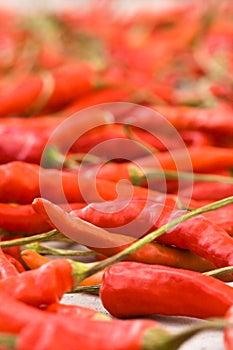 Red peppers - shallow DOF photo