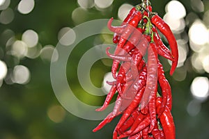 Red peppers strung on a string in a drying chain