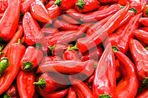 Red peppers