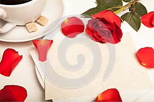 Red petal on table