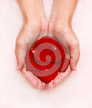 Red petals in hands