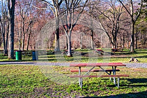 A Red Picnic Table in a Park