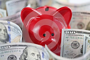 Red pig piggy bank and cash american dollars on table