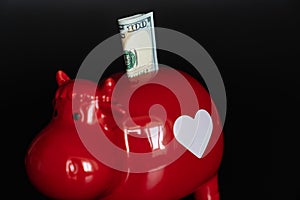 red piggy bank in the form of a cow with 100 dollars on a black background.
