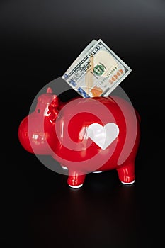 red piggy bank in the form of a cow with 100 dollars on a black background.