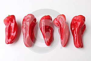 Red Pimiento de Padron peppers isolated on white background. The peppers are customarily fried in olive oil until the skin starts