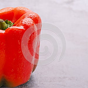 Red Pimiento in Grey Backgrund