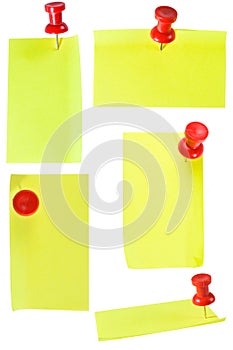 Red Pinand Notes