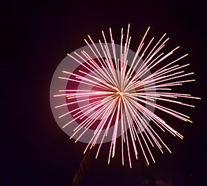 Red pink fireworks bright burst of color fill the sky