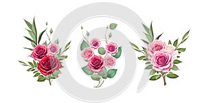 Red and pink halftone roses, hand drawn illustration elements colored set