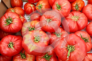 Red and pink organic tomatoes at greengrocery market