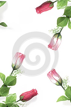 Red and pink plastic roses on white background. For Valentine`s Day, Mother`s and birthday card