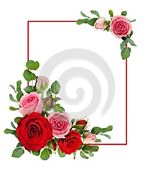 Red and pink rose flowers with eucalyptus leaves in a corner arr