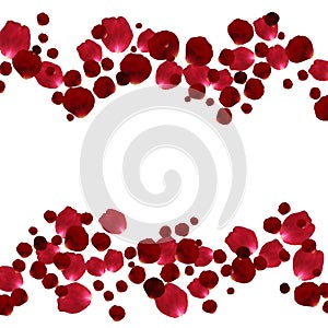 Red and pink rose petals