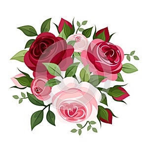 Red and pink roses.