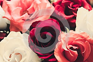 red and pink roses bouquet, bunch.Close up view of natural red roses. Selective focus flowers and Isolated watercolor