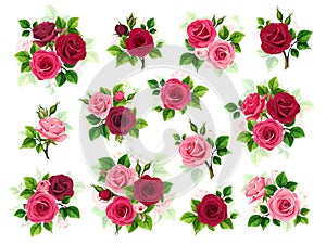 Red and pink roses. Set of vector design elements