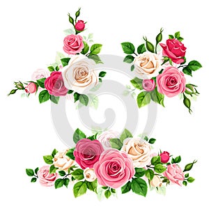 Red, pink, and white roses. Set of vector floral design elements