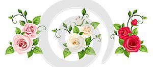 Red, pink and white roses. Vector set of three roses branches.