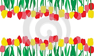 Red, pink and yellow tulips flowers and their reflection, background. Vector illustration