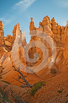 Red pinnacles (hoodoos) of Bryce Canyon photo