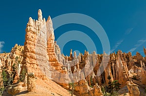 Red pinnacles (hoodoos) of Bryce Canyon, Utah, USA