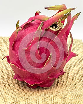 Red pitaya fruit. Red dragon fruit on a jute fabric, on a white background