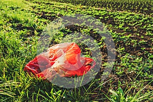Red plastic bag in cultivated agricultural field, environmental damage and pollution concept photo