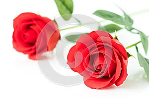 Red plastic fake roses on white