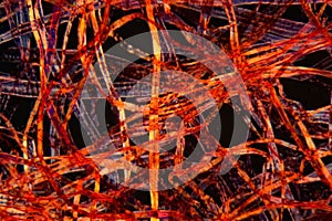 Red plastic fibers under the microscope